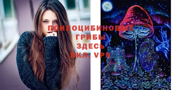 МДПВ Абдулино