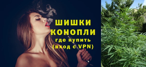 винт Абаза