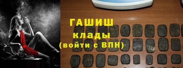 гашик Горняк