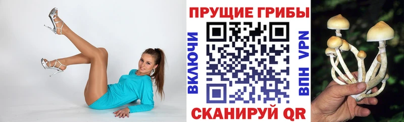 Псилоцибиновые грибы GOLDEN TEACHER  blacksprut   Новоалтайск  где найти наркотики 